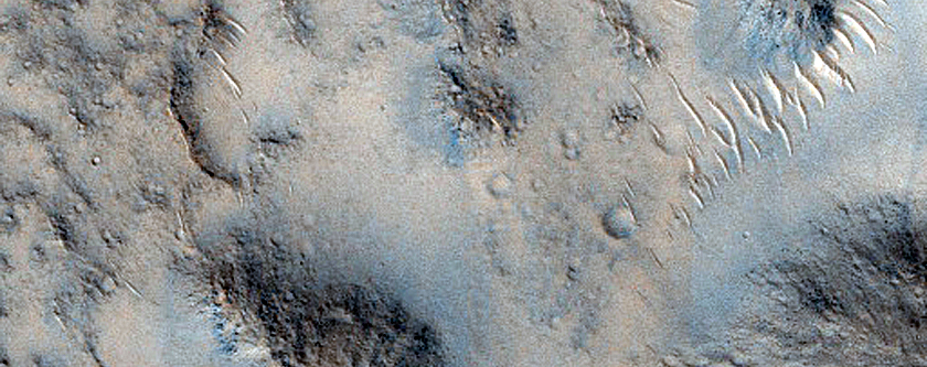 Landforms in Isidis Planitia
