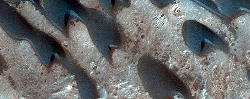 Northwest Meridiani Planum Intracrater Dunes
