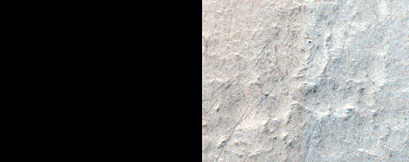 Dust Devil Preference to Brighter Dunes in Galle Crater
