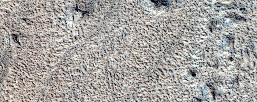 Cones and Wakes in Phlegra Region

