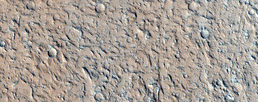 Amazonis Planitia
