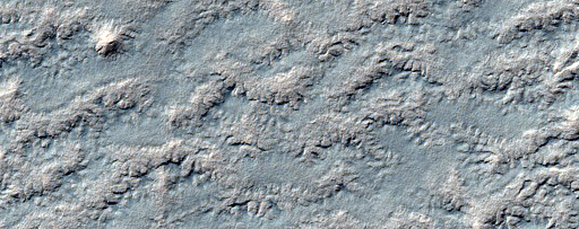 Potential Small Crater on South Polar Layered Deposits
