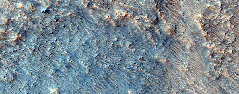 Possible Olivine-Rich Mound East of Terby Crater

