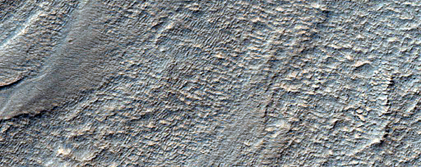 Gullies and Ridges in Mid-Latitude Southern Crater