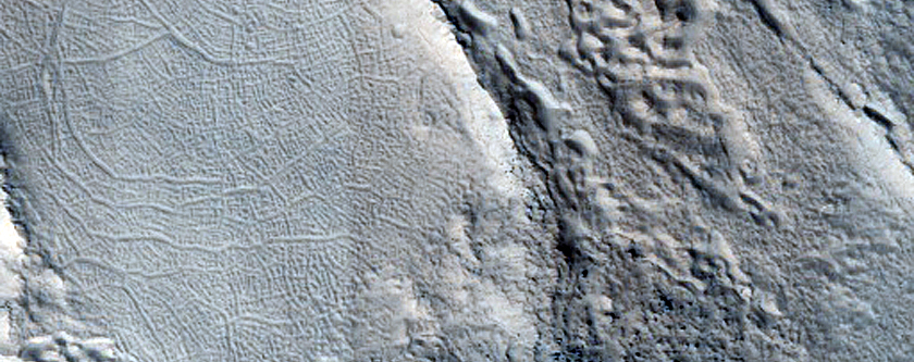 Variety of Brain Terrain near the East Rim of Moreux Crater
