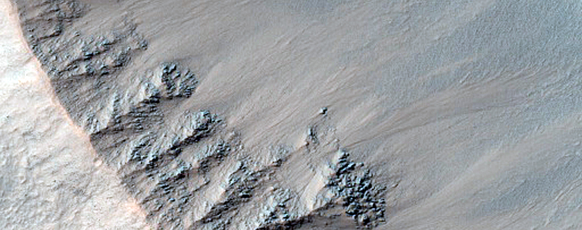 Gullies in Southern Mid-Latitude Crater near Newton Crater
