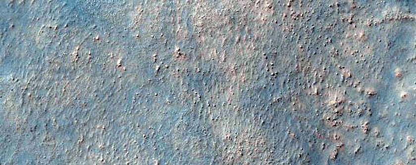Monitoring Dust Devil Tracks

