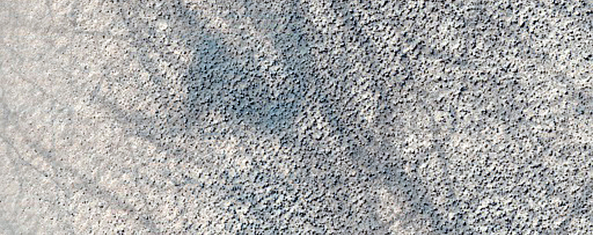 Searching for Dust Devil Tracks
