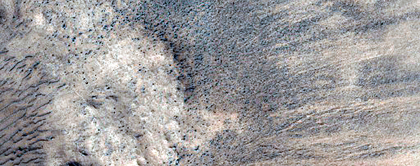 Gully Monitoring
