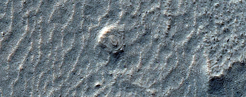 Flow Features in Southern Mid-Latitude Craters
