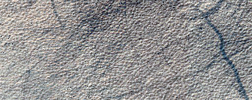 Monitoring Dust Devil Tracks in Terra Cimmeria
