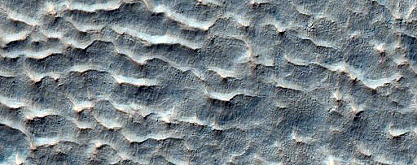 Gullies and Lobes in Crater in Terra Sirenum
