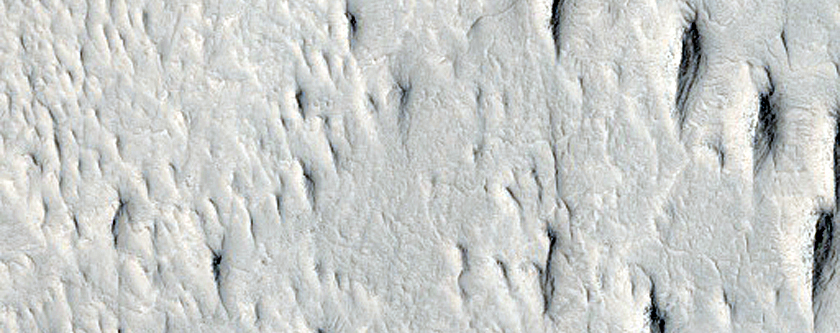 Raised Curvilinear Ridges
