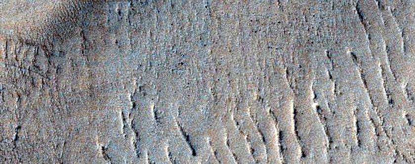 Dunes in Hellas Planitia