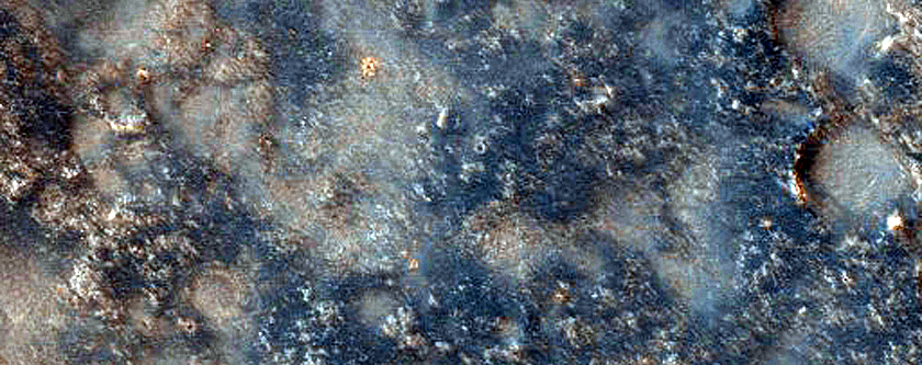Terrain Sample
