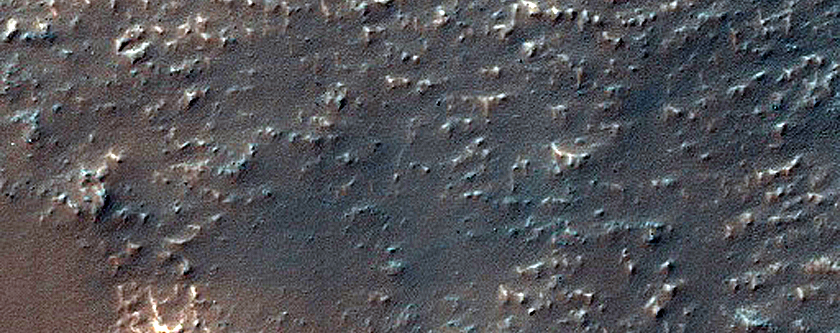 Newton Crater
