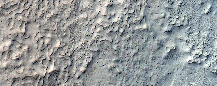 Terrain Sample
