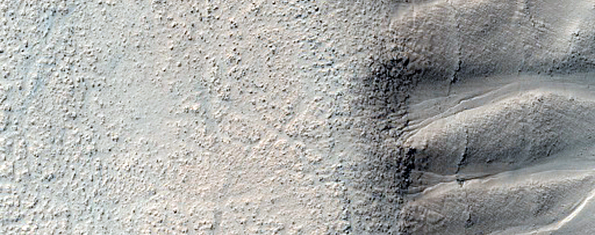 Gullies and Layers in Argyre Cavi