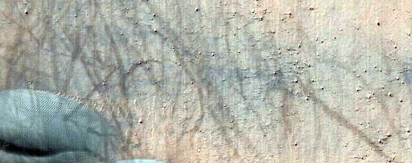 Terra Cimmeria Intracrater Barchan Dunes
