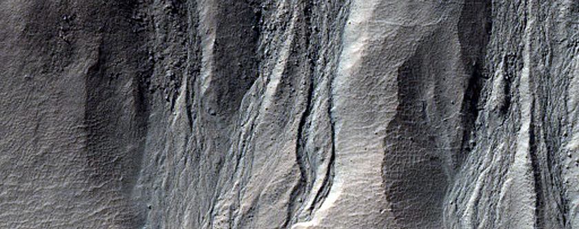 Gullied Crater Wall

