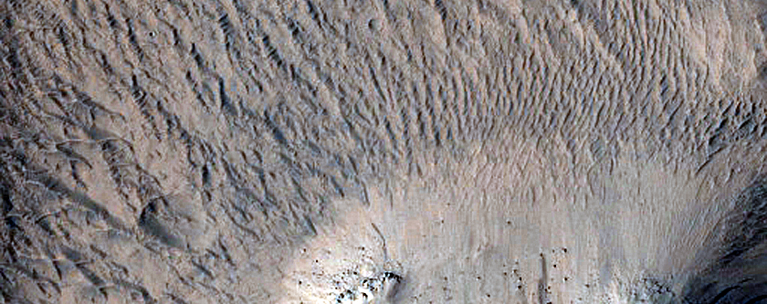 Terrain Near Elysium Planitia
