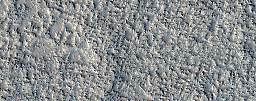 Acidalia Planitia Dust Devil Region
