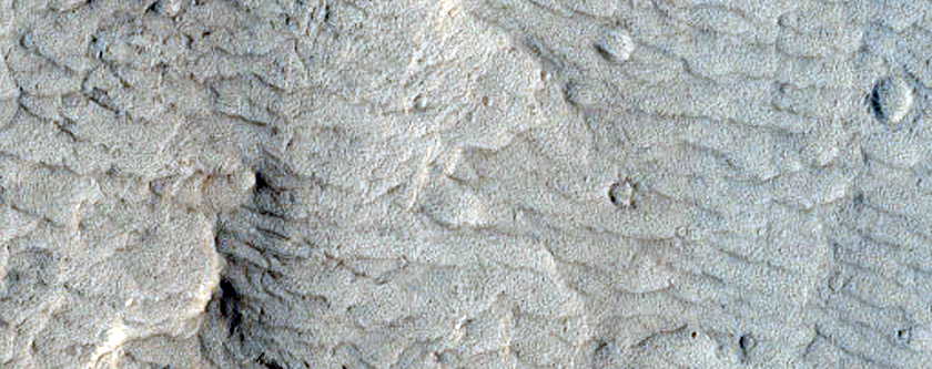 Floor of Nicholson Crater

