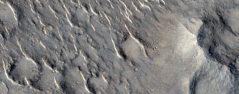 Pitted Cones in Isidis Planitia

