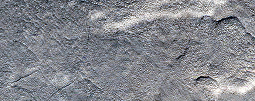 Gully Monitoring
