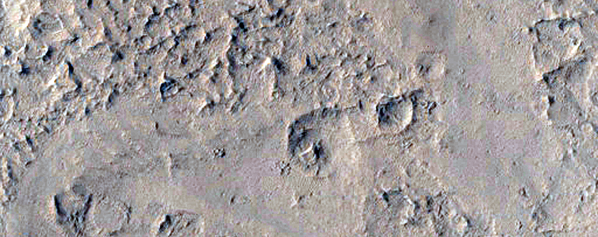 Lucus Planum
