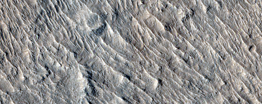 Rugged Terrain

