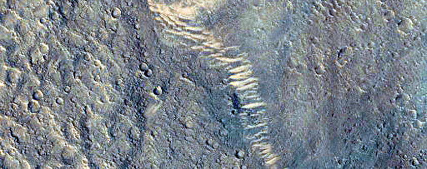 Well-Preserved Alluvial Fans in Complex Crater within Isidis Planitia