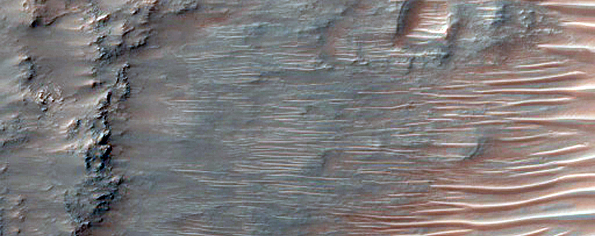 Possible Olivine-Rich Terrain
