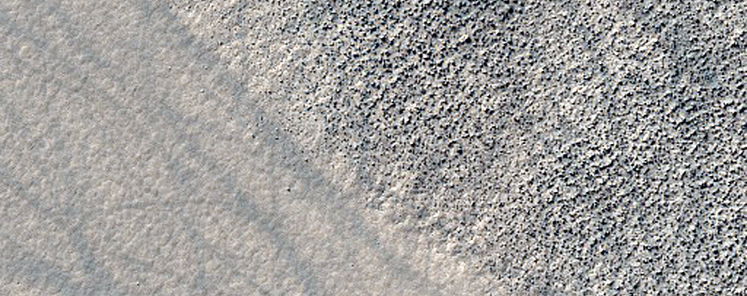 Monitoring Dust Devil Tracks in Terra Sirenum

