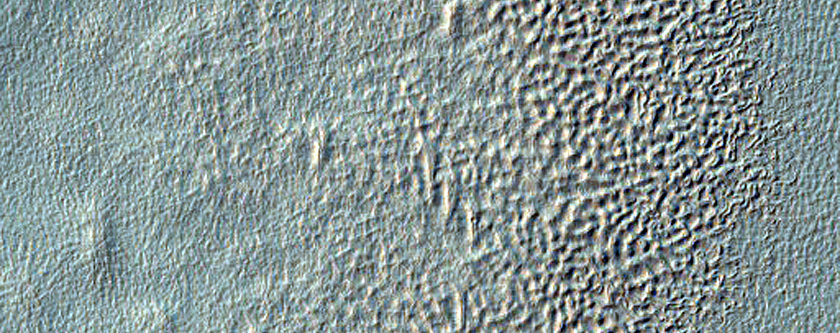 Gully Monitoring
