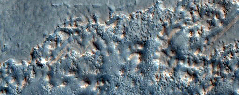 Gullies along Mesa Wall in North Tempe Terra
