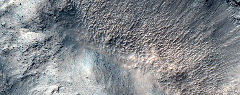 Gullies in Crater in Terra Sirenum
