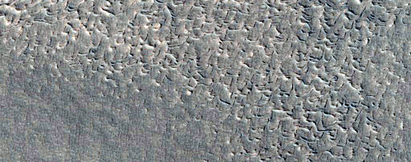 Arc-Shaped Ridges along Mesa in Protonilus Mensae
