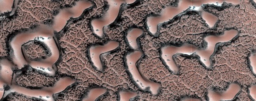 Dune Monitoring in Impact Crater
