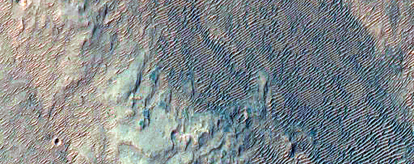 Alluvial Fans in Roddy Crater
