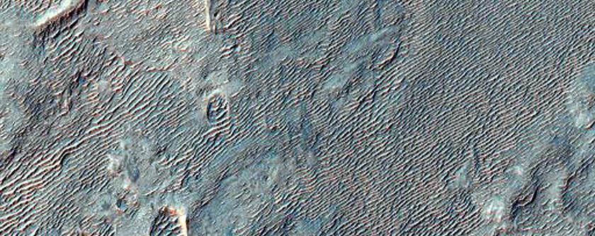Northwestern Rim of Roddy Crater