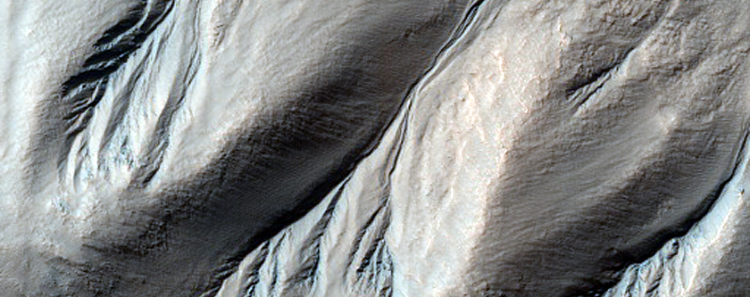 Gullies Near Wirtz Crater