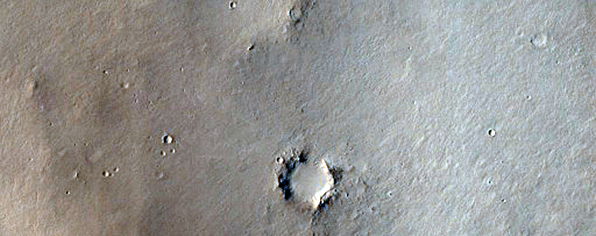 Terrain Sample