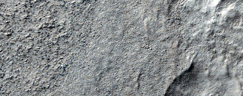 Crescentic Forms in Hellas Planitia