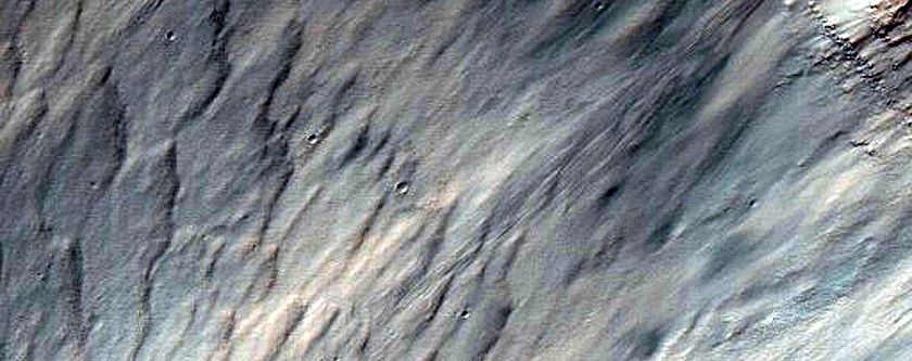 Gully in Crater in Terra Sirenum