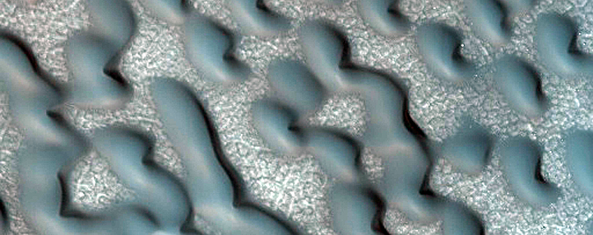 Dune Monitoring in Polar Crater