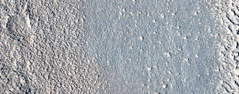 Candidate Landing Site for SpaceX Starship at Phlegra Montes