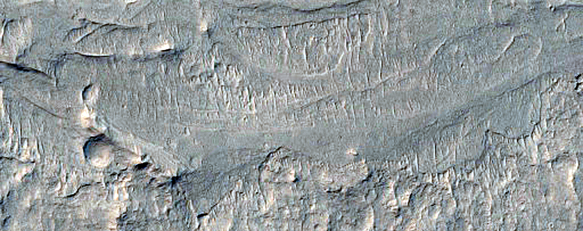 Complex Inverted Channels in Aeolis Dorsa