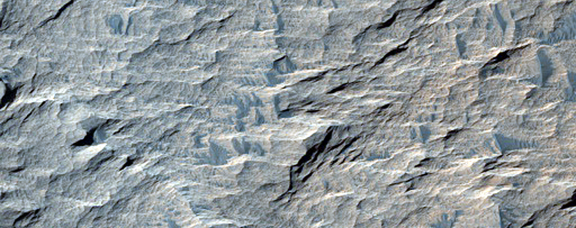 Layered Rocks on West Candor Chasma Floor