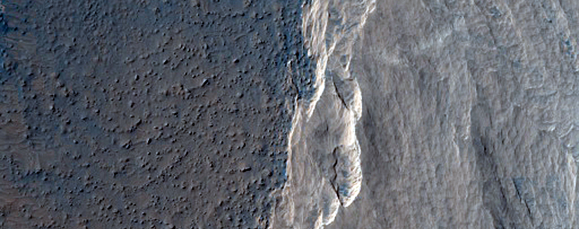 Dust Changes at Medusae Fossae Formation and Lava Plains Contact
